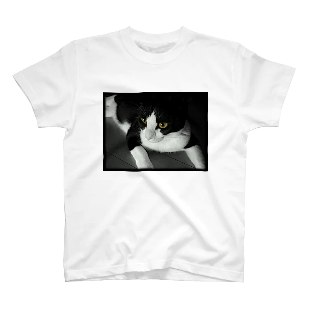 Turtle-tのCat_B スタンダードTシャツ