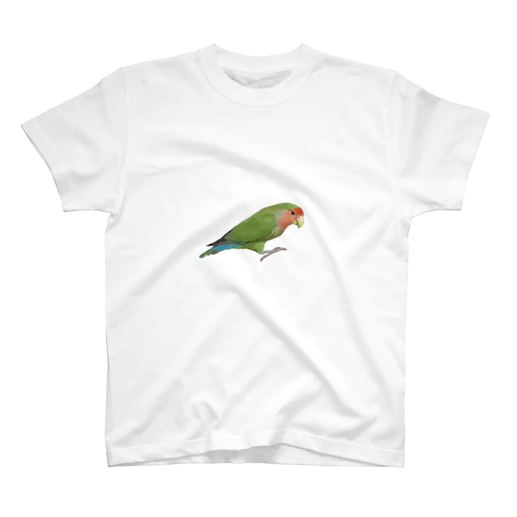 クレーンゲームのコザクラインコ　はみちゃん Regular Fit T-Shirt