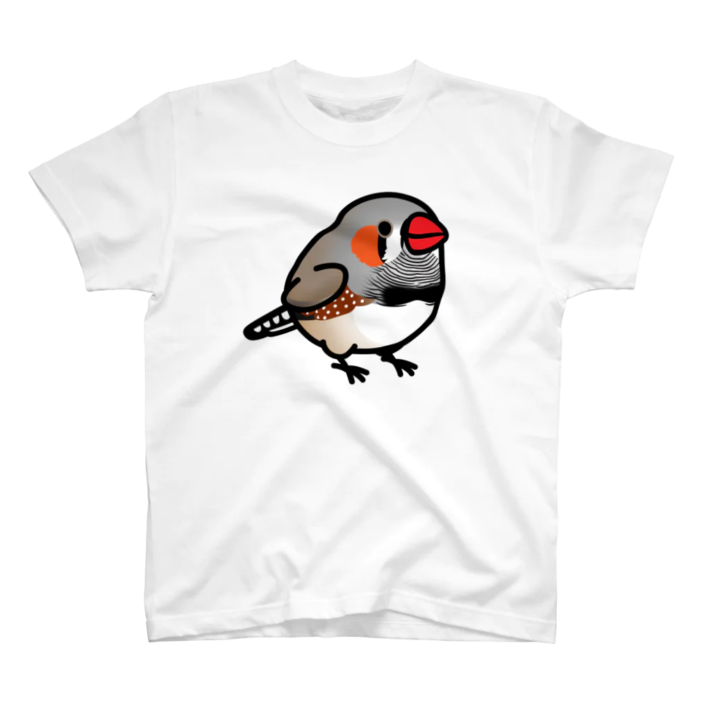 Cody the LovebirdのChubby Bird キンカチョウ スタンダードTシャツ