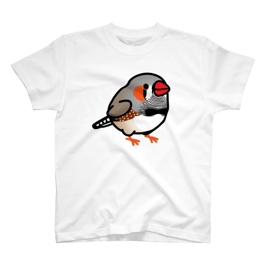 Cody the LovebirdのChubby Bird キンカチョウ Regular Fit T-Shirt