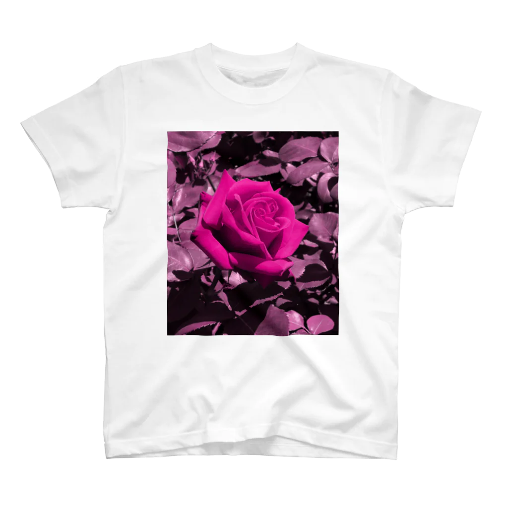 hsh2006のRose(Magenta) Regular Fit T-Shirt