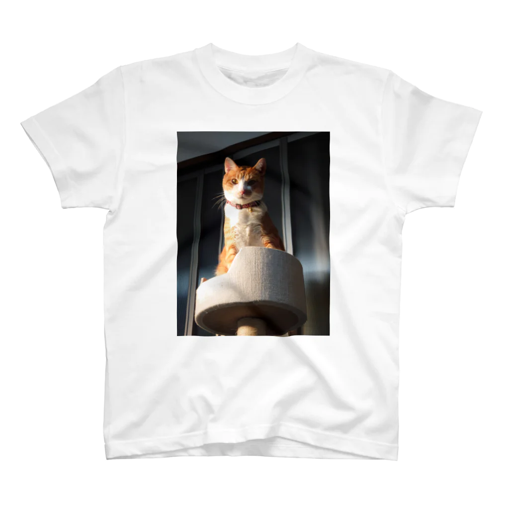 KAIの夕焼け猫 Regular Fit T-Shirt