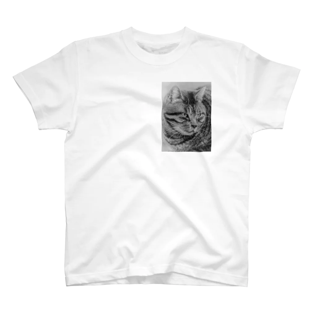 PhotoCollé フォトコラージュのPurr-fect・猫のいる暮らし② スタンダードTシャツ