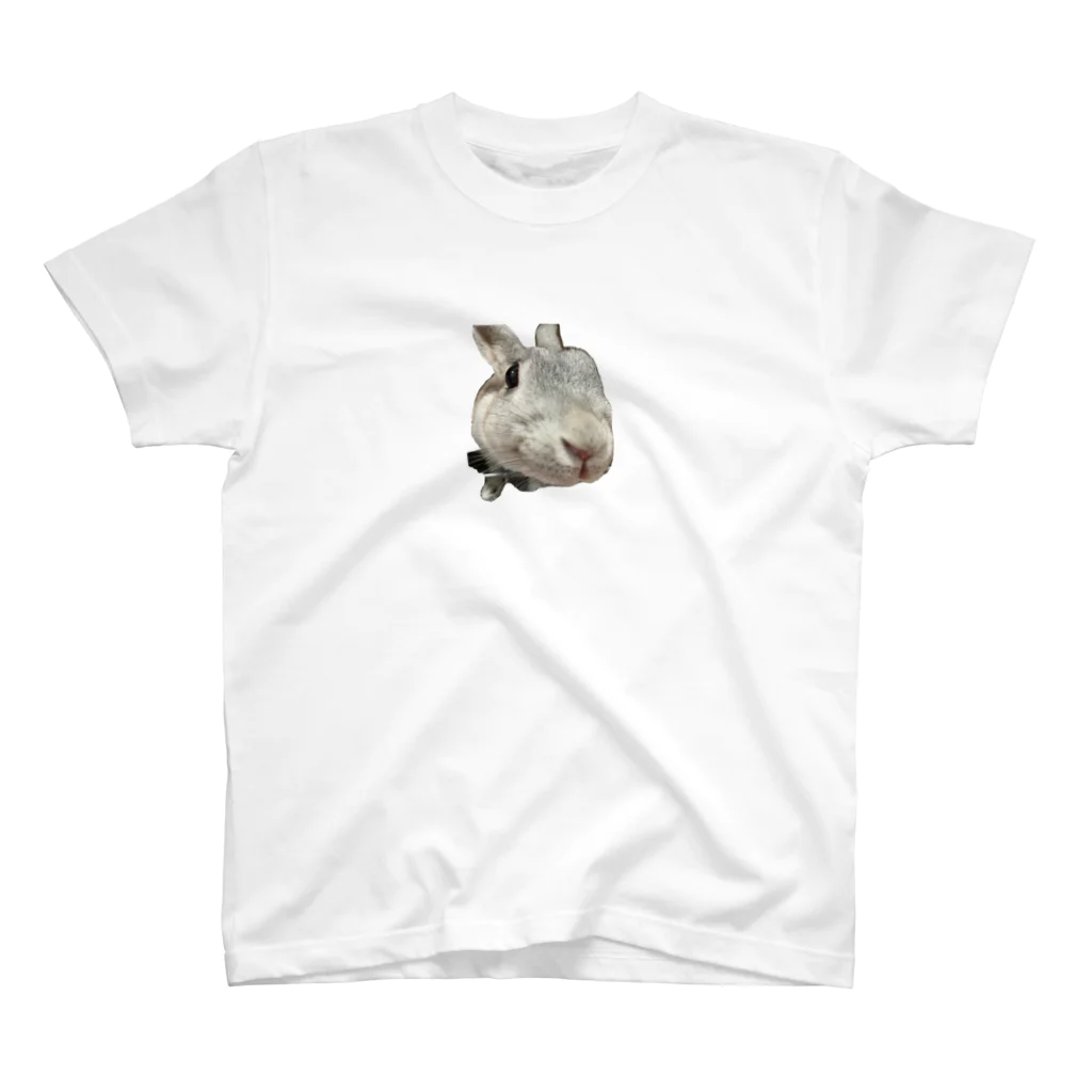 ふてくされうさぎ善のふてくされうさぎの善 Regular Fit T-Shirt