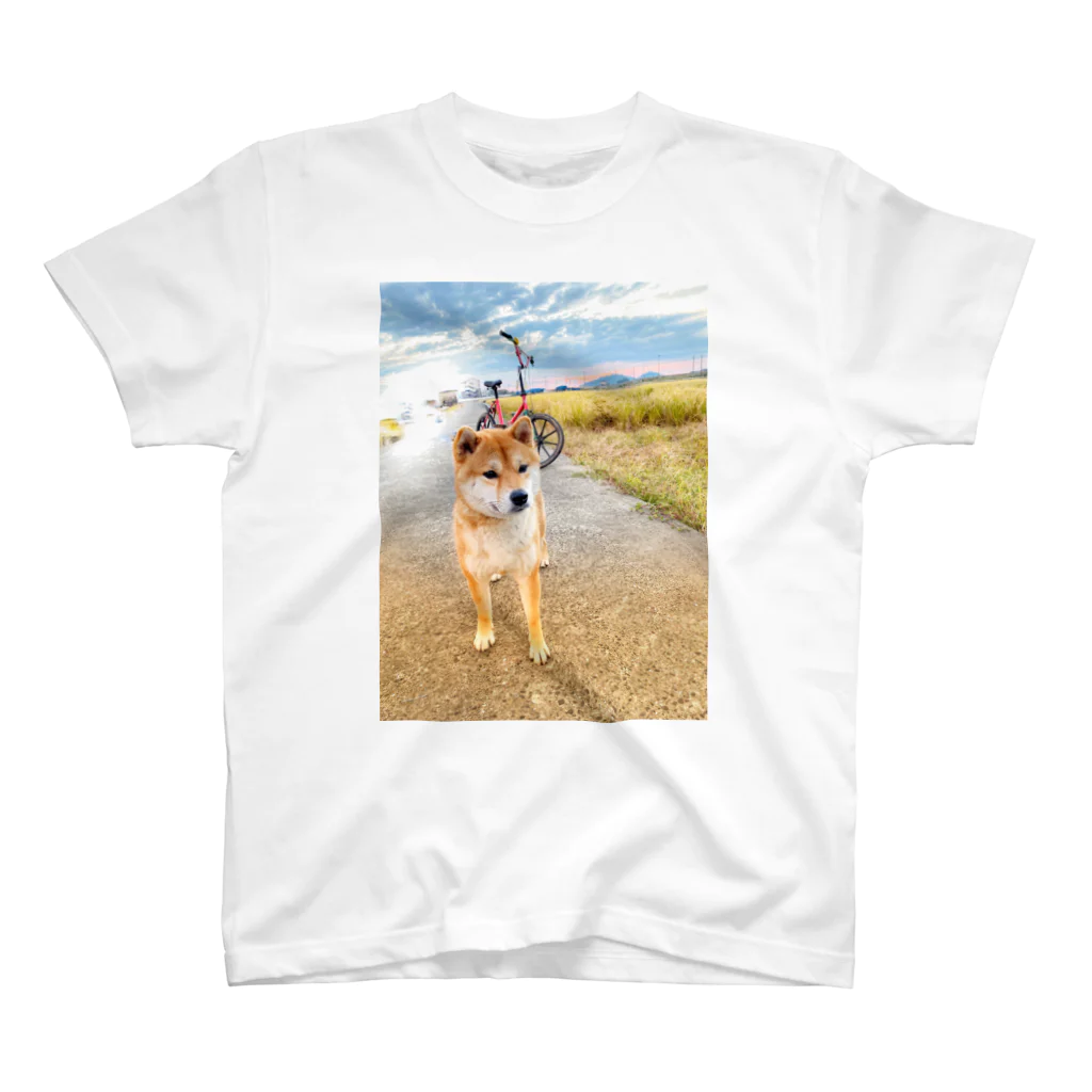 柴犬　威武（イブ）君の柴犬　威武（イブ）君 スタンダードTシャツ