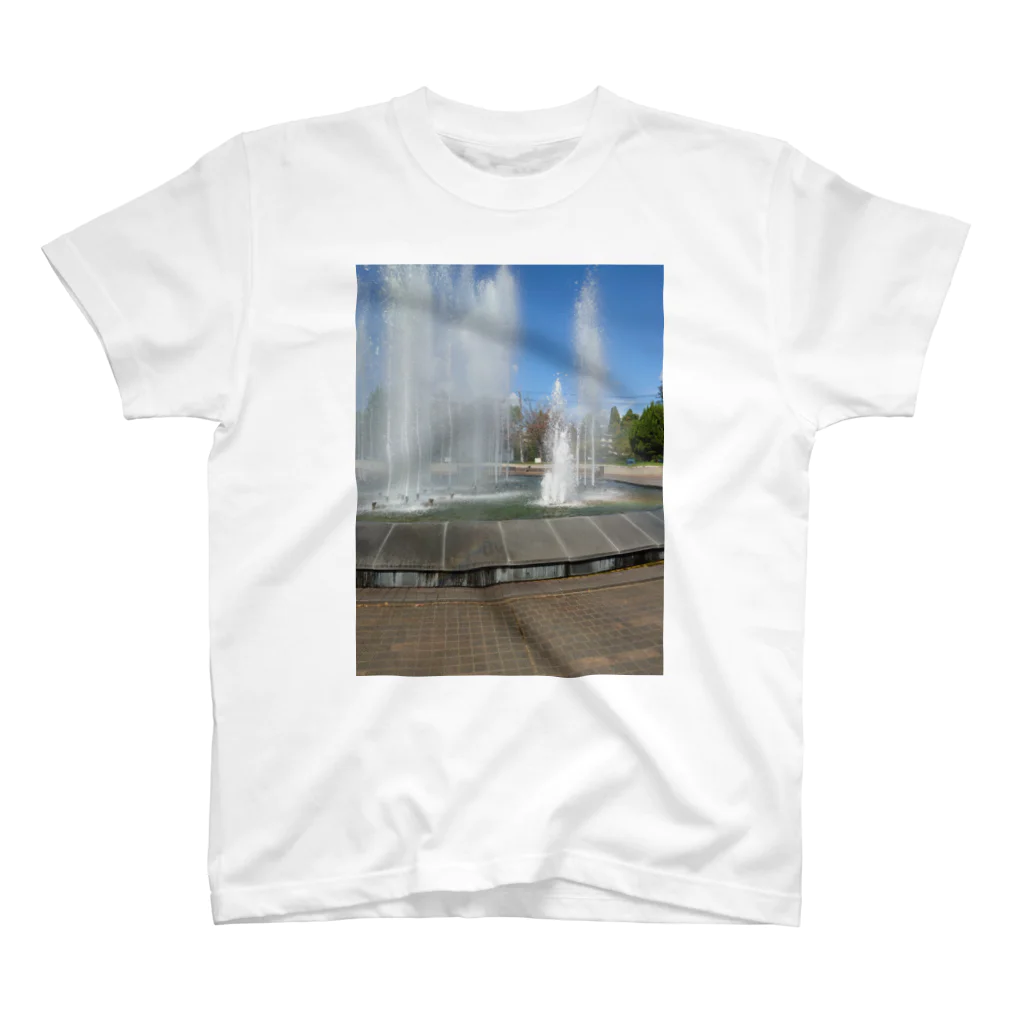 風景写真展の噴水と虹 スタンダードTシャツ