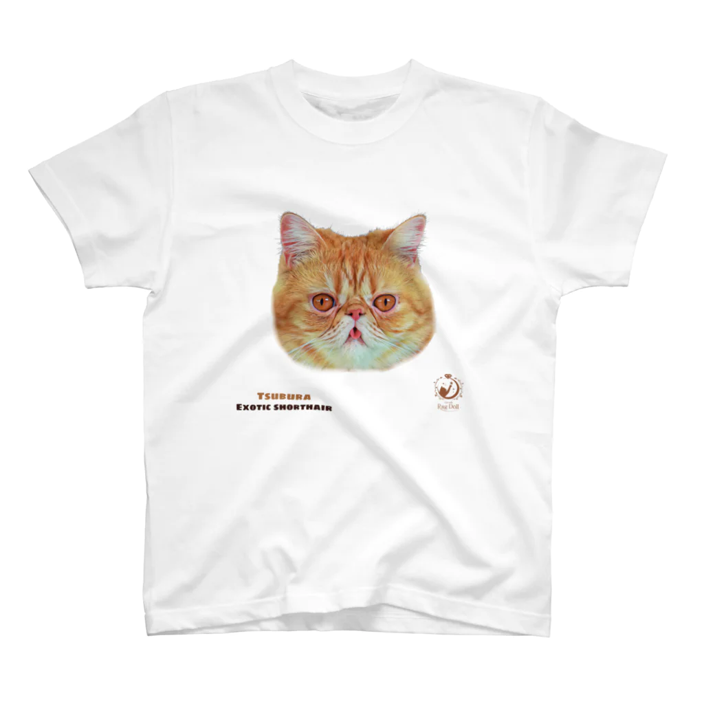 猫カフェラグドール（大阪難波）の中辛つぶたろう🥯 スタンダードTシャツ