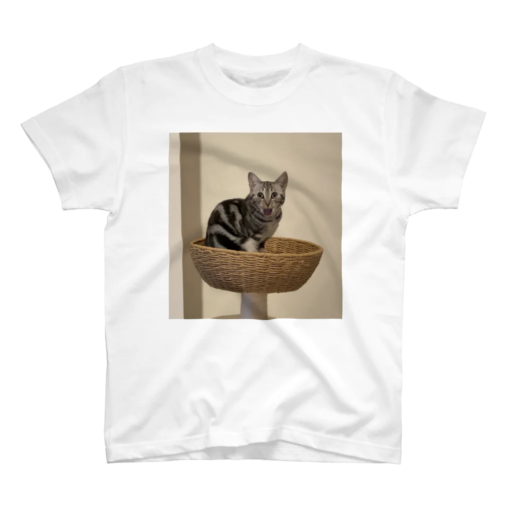 かかしたまごの猫アイーン Regular Fit T-Shirt