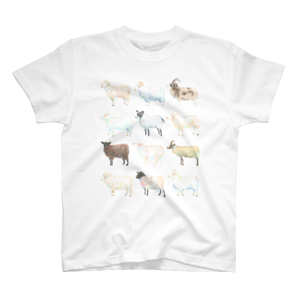 sheepllie*の12 SHEEP スタンダードTシャツ