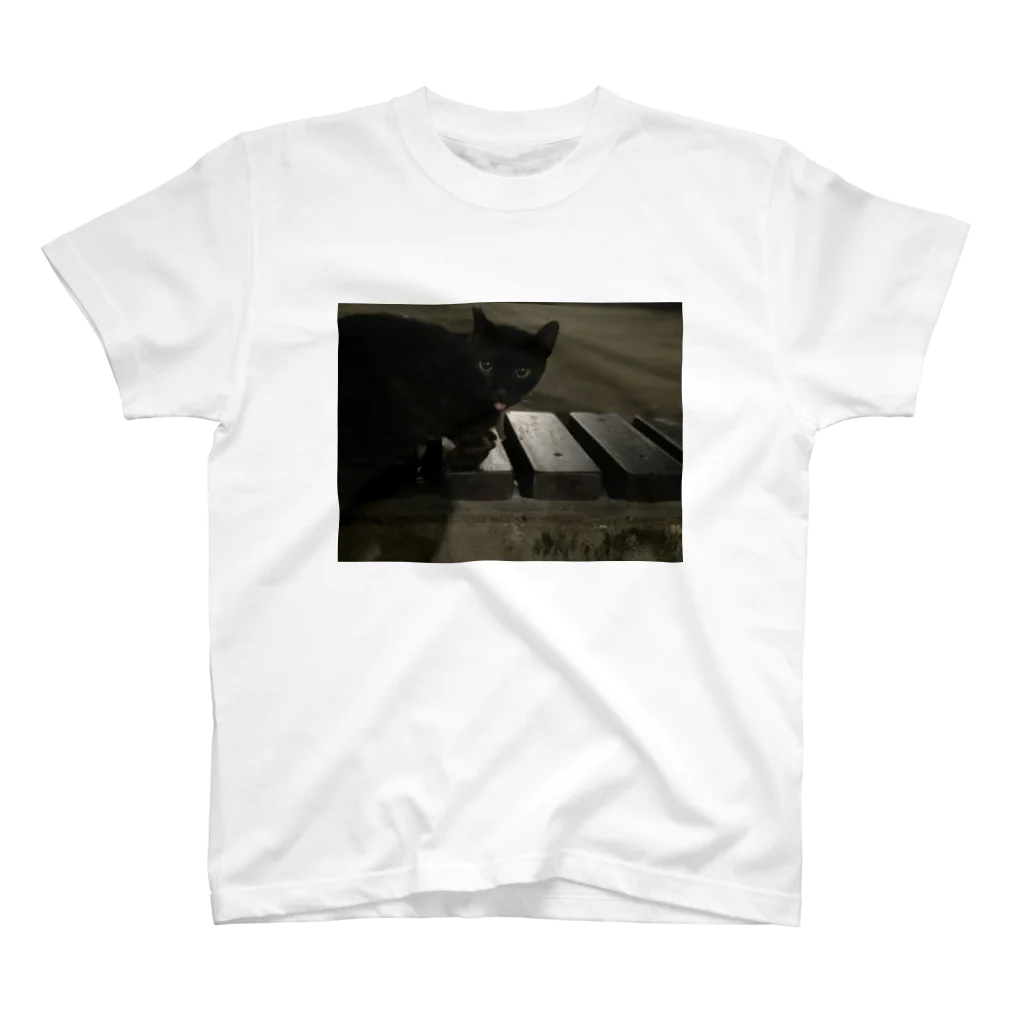neko_00_nekoの黒猫さん Regular Fit T-Shirt