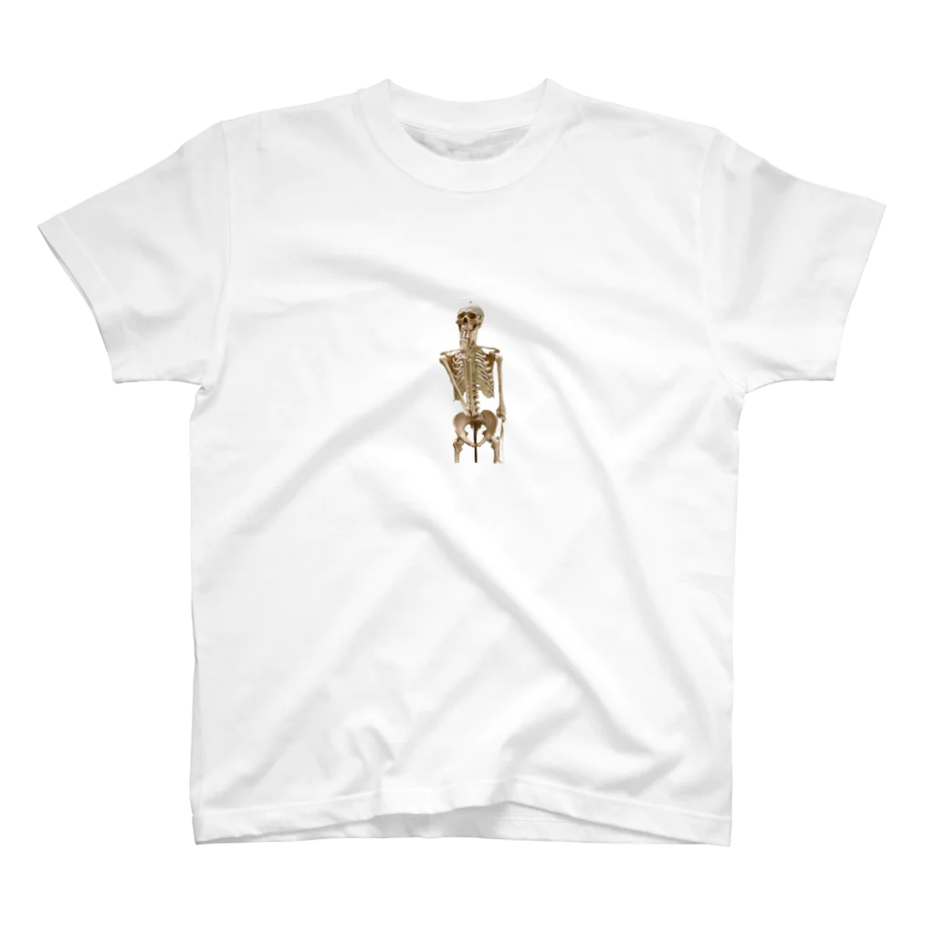 オスウサギちゃんの乙女要素追加人体骨格模型 Regular Fit T-Shirt
