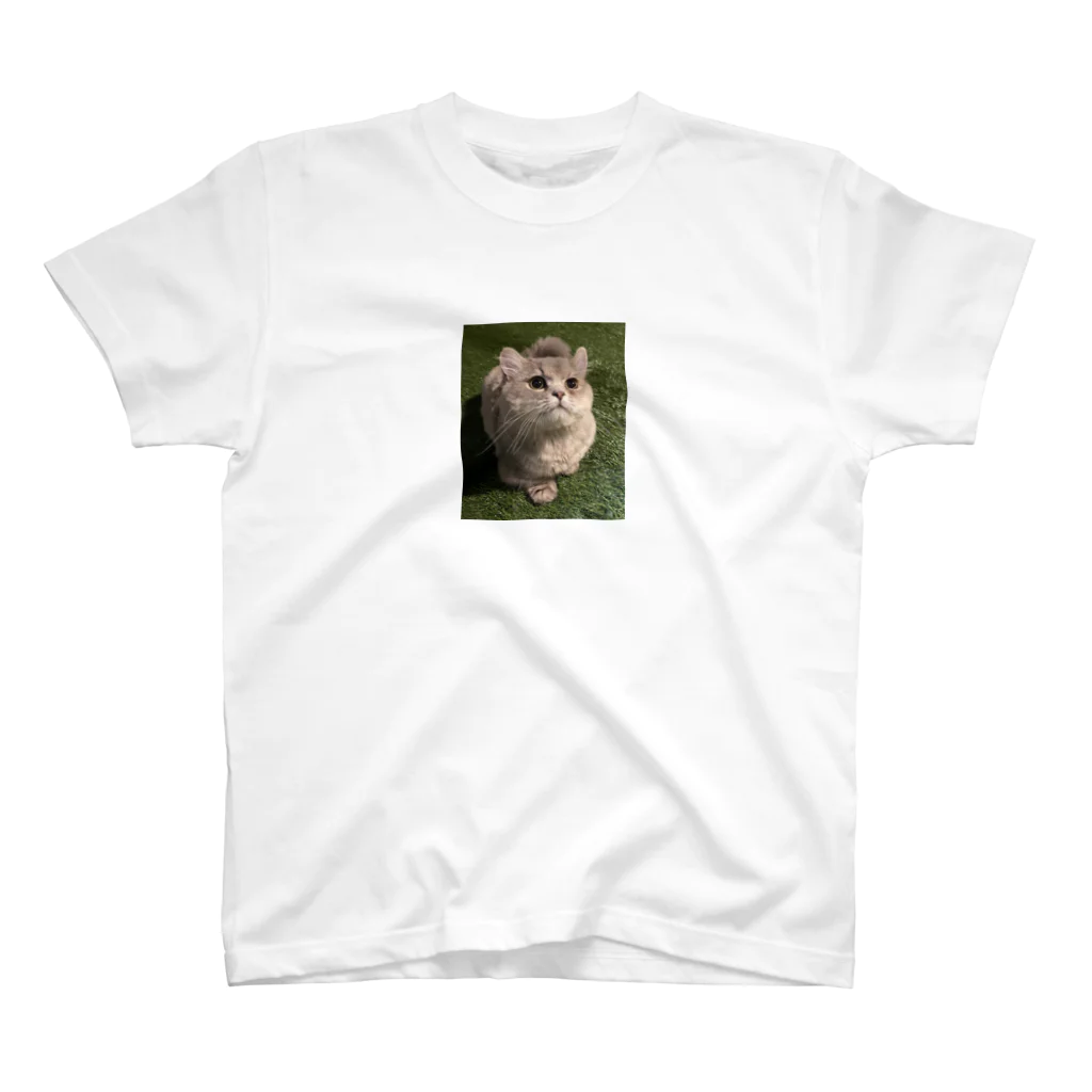 世界一可愛い猫グッズのしばふなぱるくん スタンダードTシャツ
