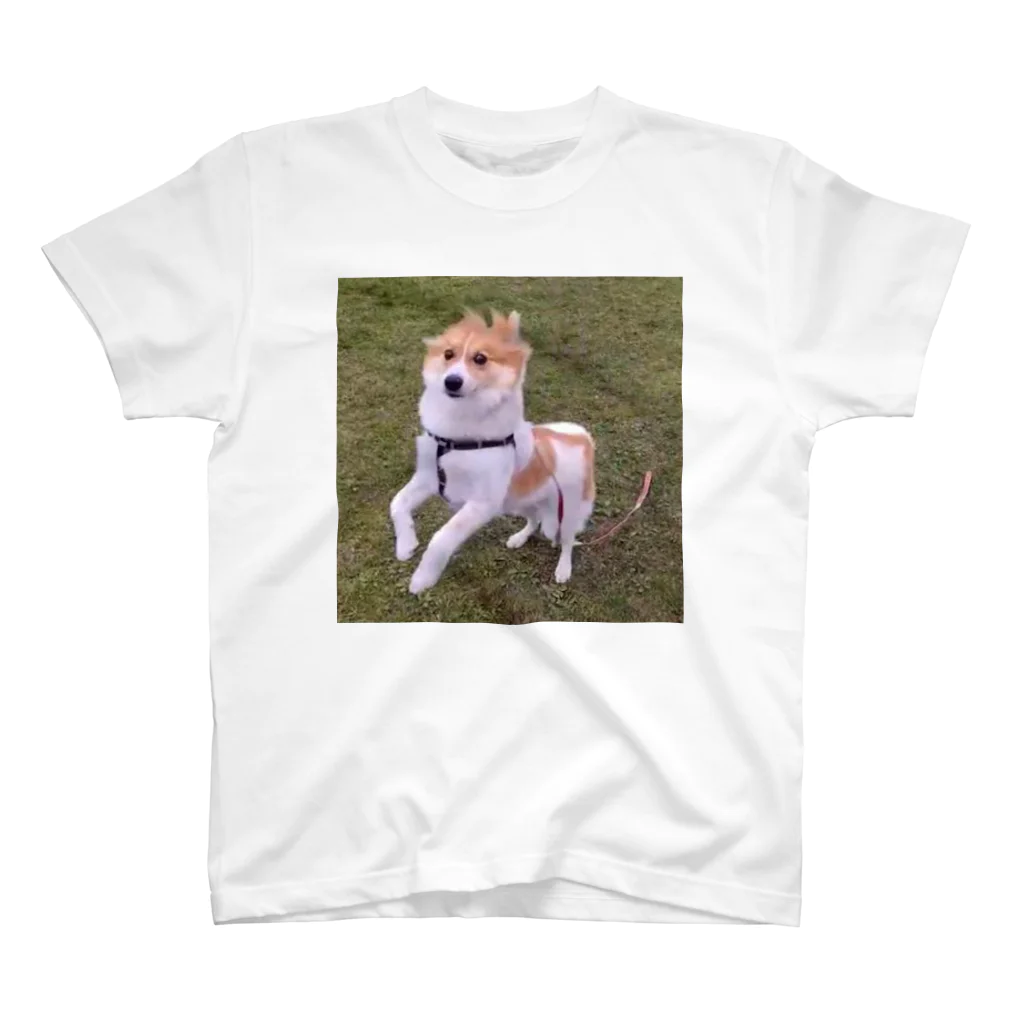 たの犬 スタンダードTシャツ