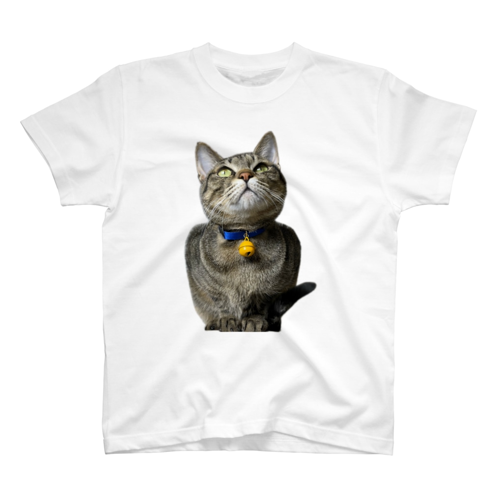 おぬしちゃんのフクロウ猫なんじ T-Shirt