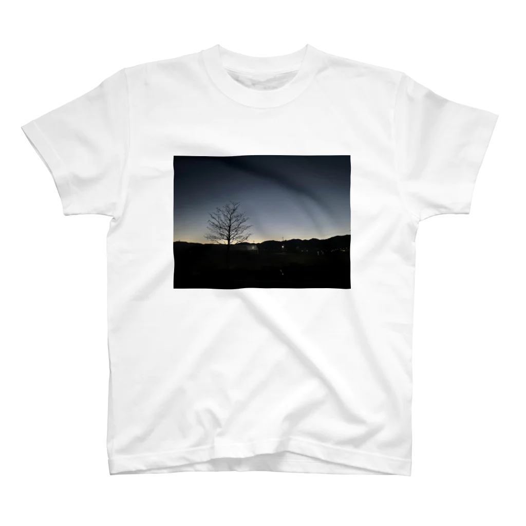 2929gawDesignShop358のEarly winter sunrise スタンダードTシャツ