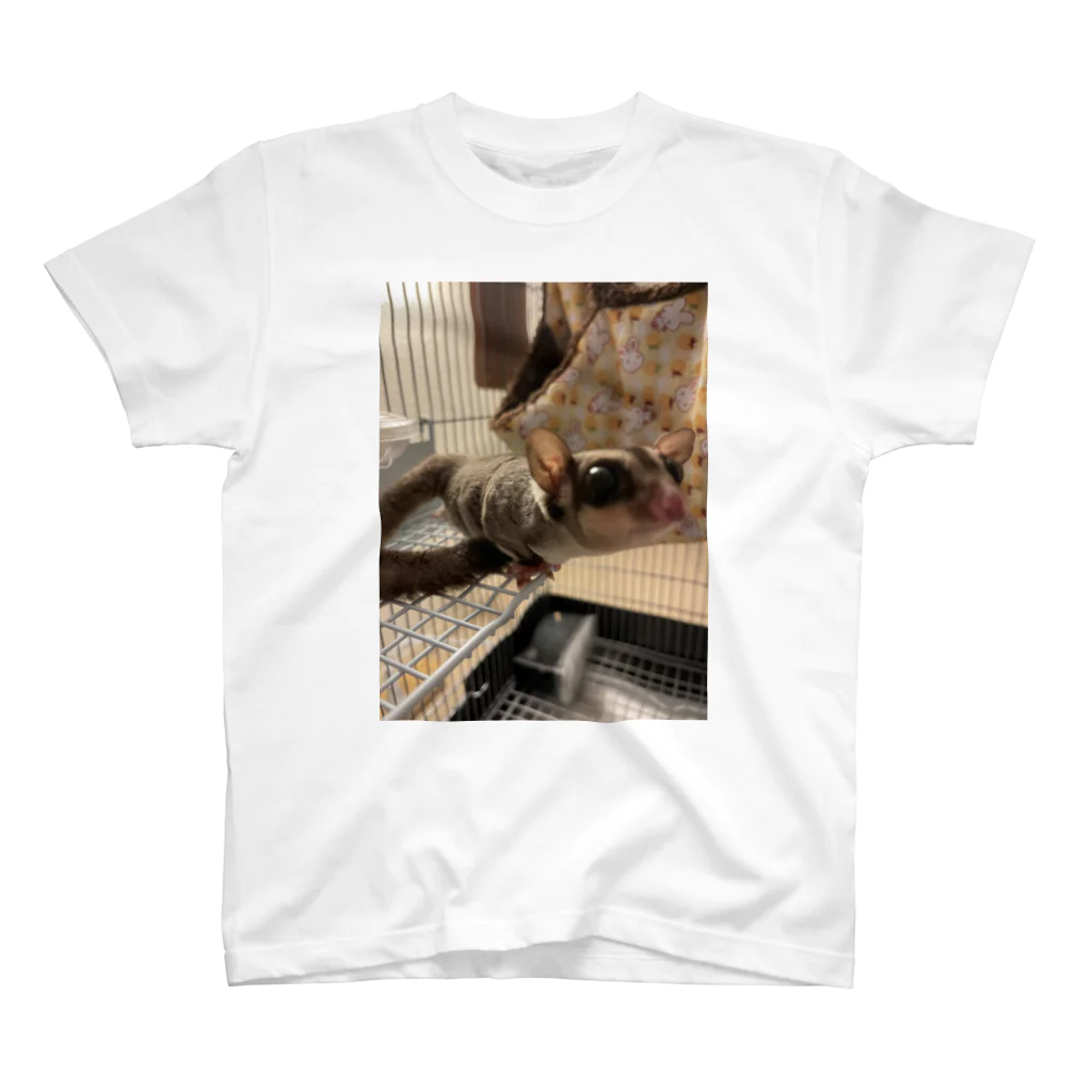 モモンガとハムちゃんのフクモモのギズモ スタンダードTシャツ