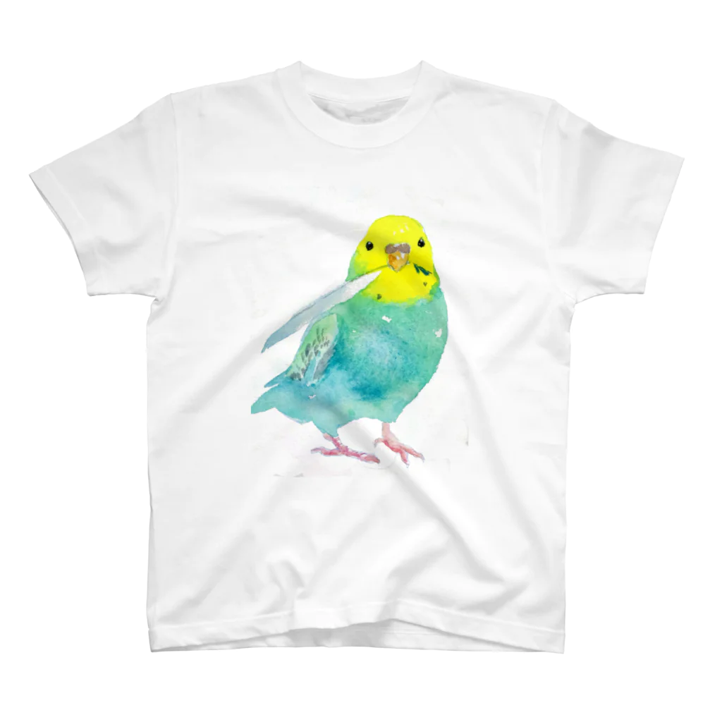 kadoBIRDの水彩セキセイ スタンダードTシャツ