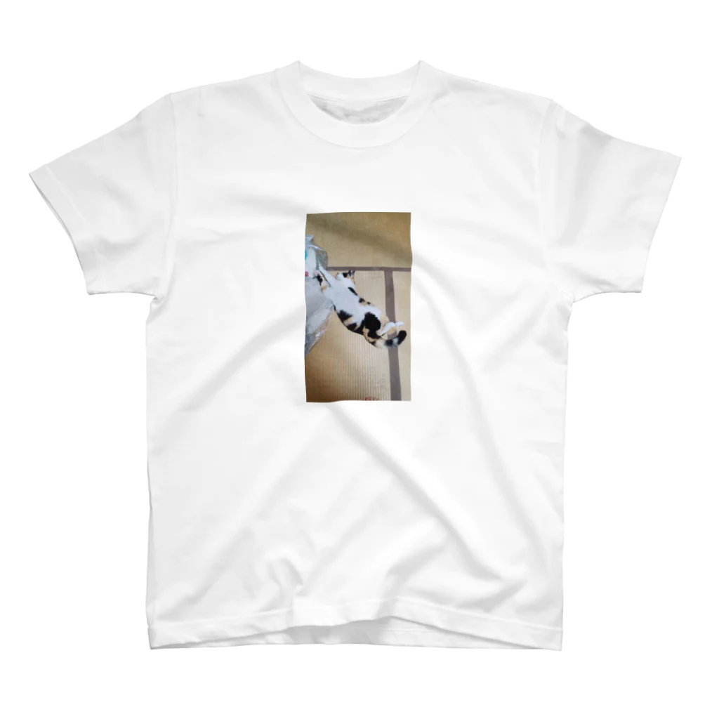 tastasplusの人の家の猫の写メTシャツ Regular Fit T-Shirt