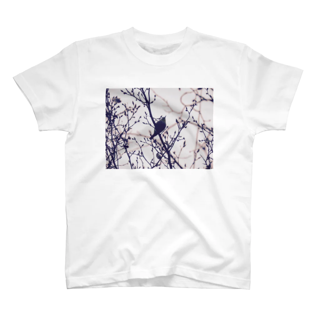 ひょうたん翠のspring has come. Regular Fit T-Shirt