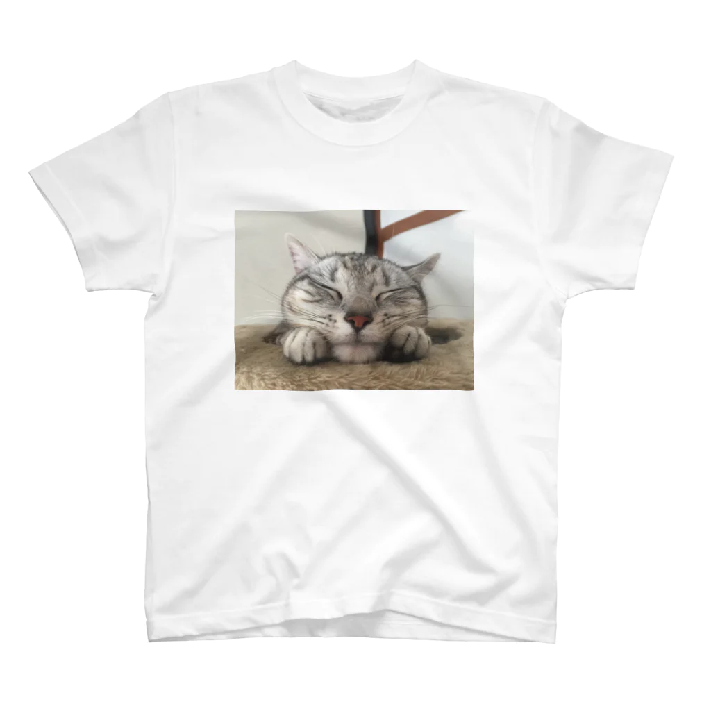 愛猫の可愛いアメショ スタンダードTシャツ