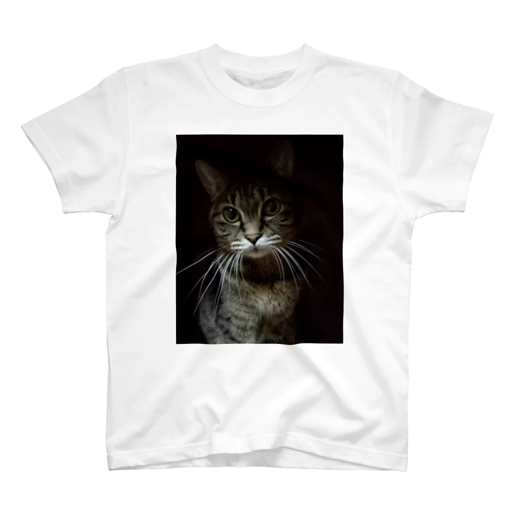 トラ猫屋のヨルネコ スタンダードTシャツ