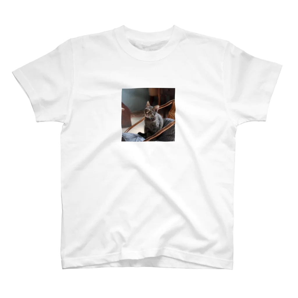 旅好きアルパカの【世界一周旅】ベトナム編カフェの馴染み客（ネコ） Regular Fit T-Shirt