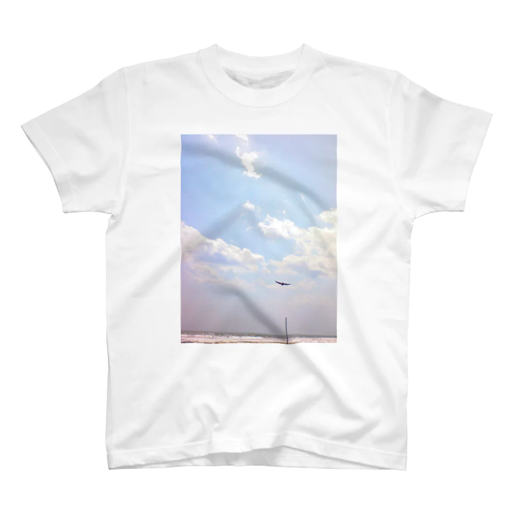 空屋　sorayakusakaの200705031110000　空 Regular Fit T-Shirt