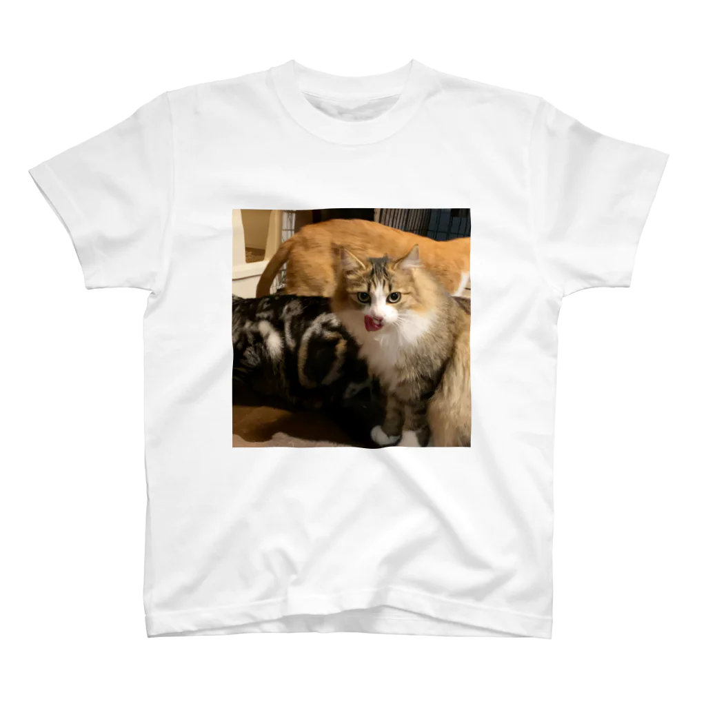 koikeikoのペロンチョ猫 スタンダードTシャツ