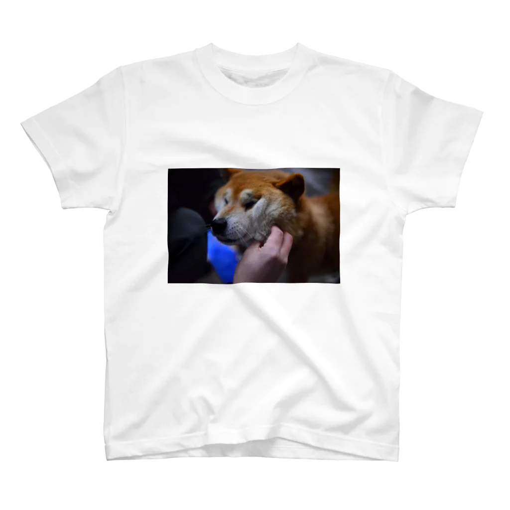 street scramblerの犬　猫 スタンダードTシャツ