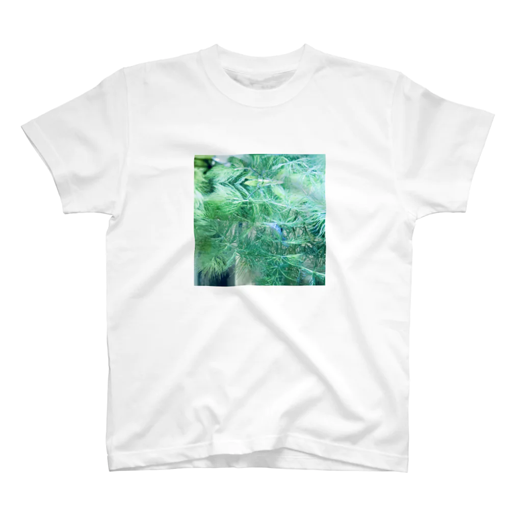 大眠家-ﾀｲﾐﾝｹ-の水草とコリドラス Regular Fit T-Shirt
