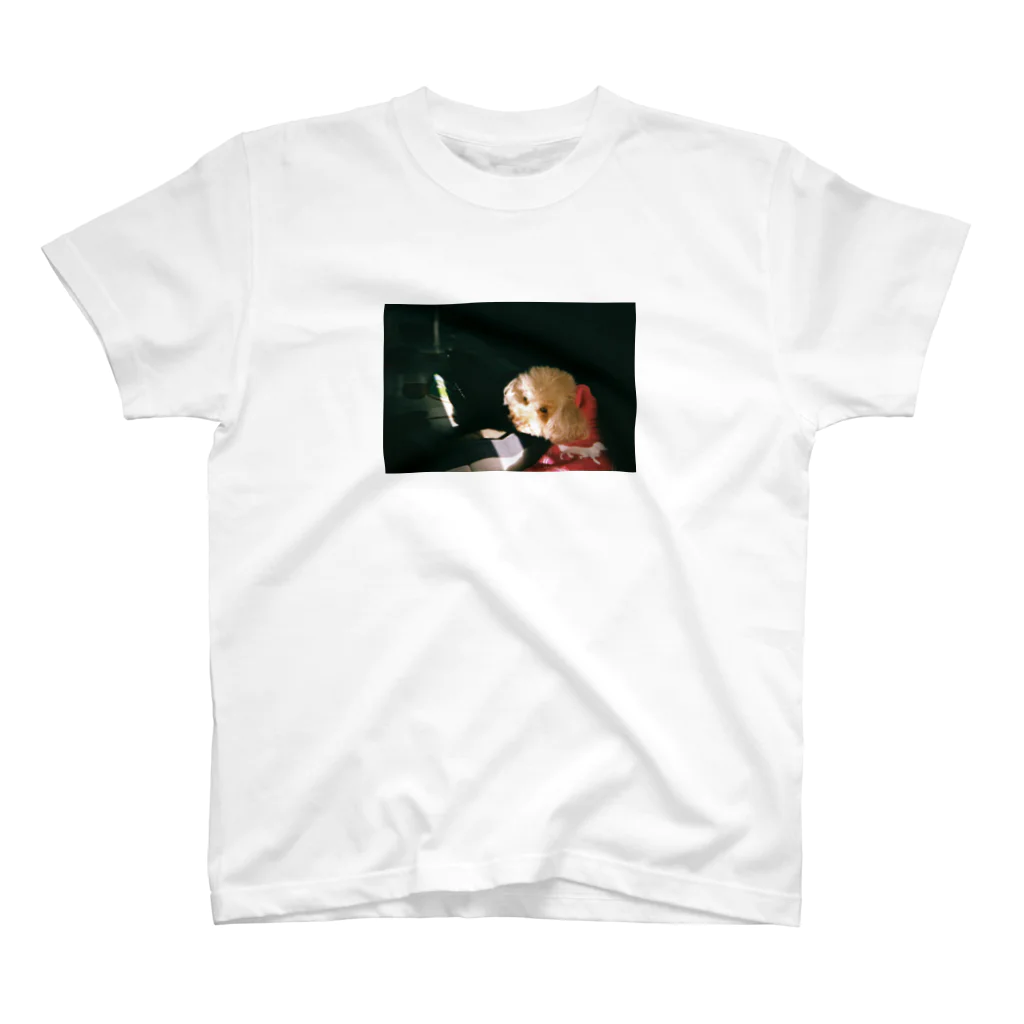 signeesのチャコ🐶 スタンダードTシャツ