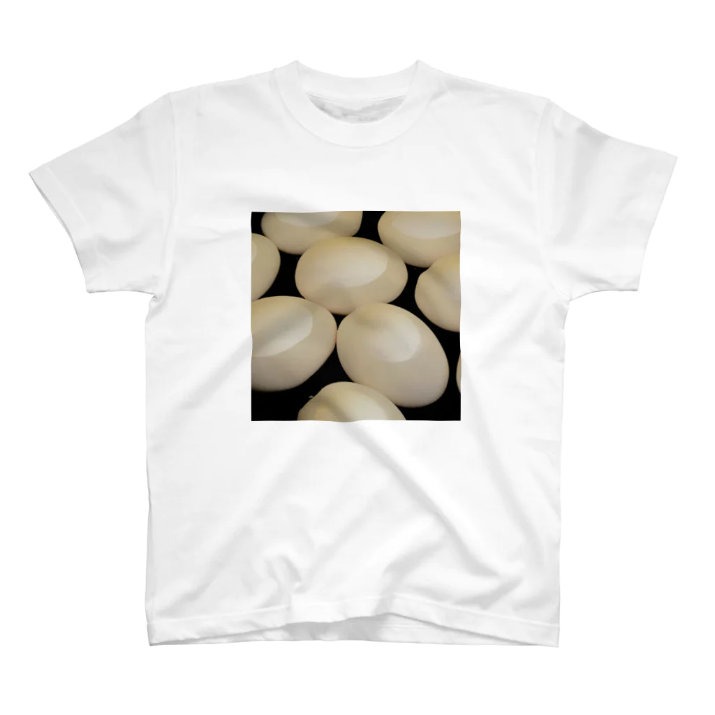 大眠家-ﾀｲﾐﾝｹ-の水中玉子 Regular Fit T-Shirt