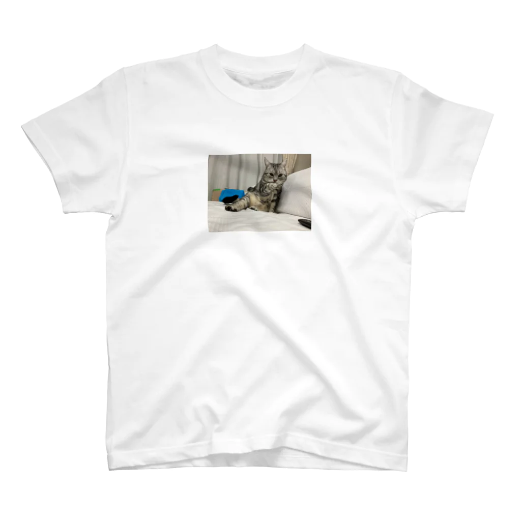 たかはしのねこねこねこ Regular Fit T-Shirt