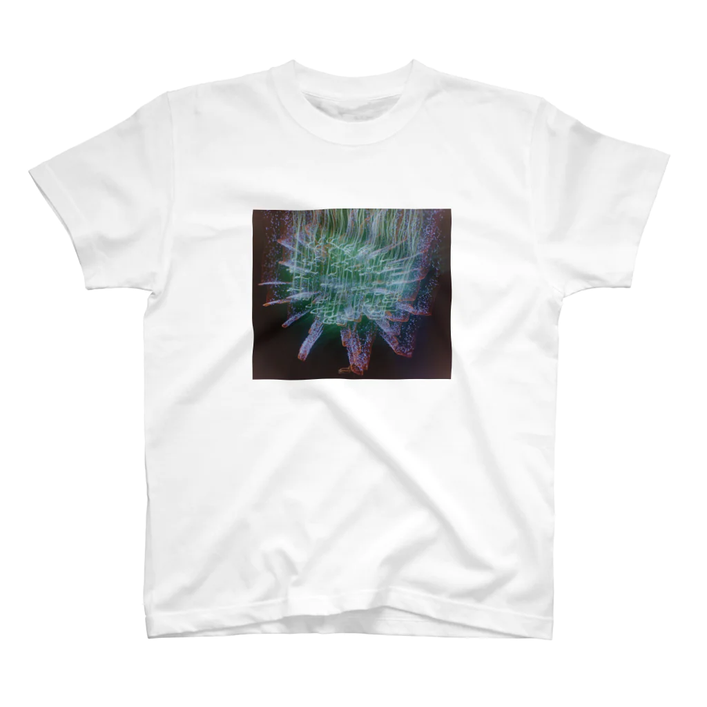 わらしゃんどの花火 スタンダードTシャツ