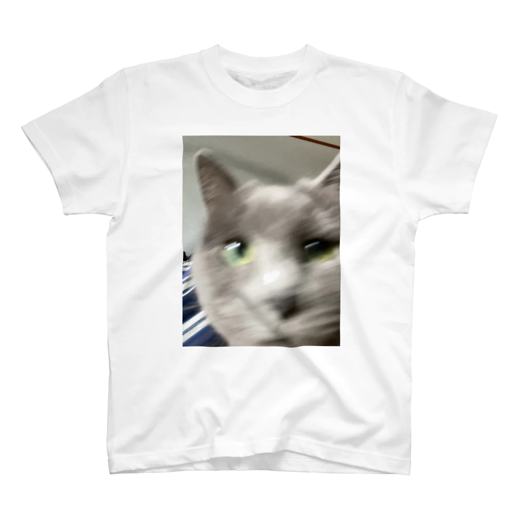 灰猫さん@🦀のシャルトリューねね Regular Fit T-Shirt