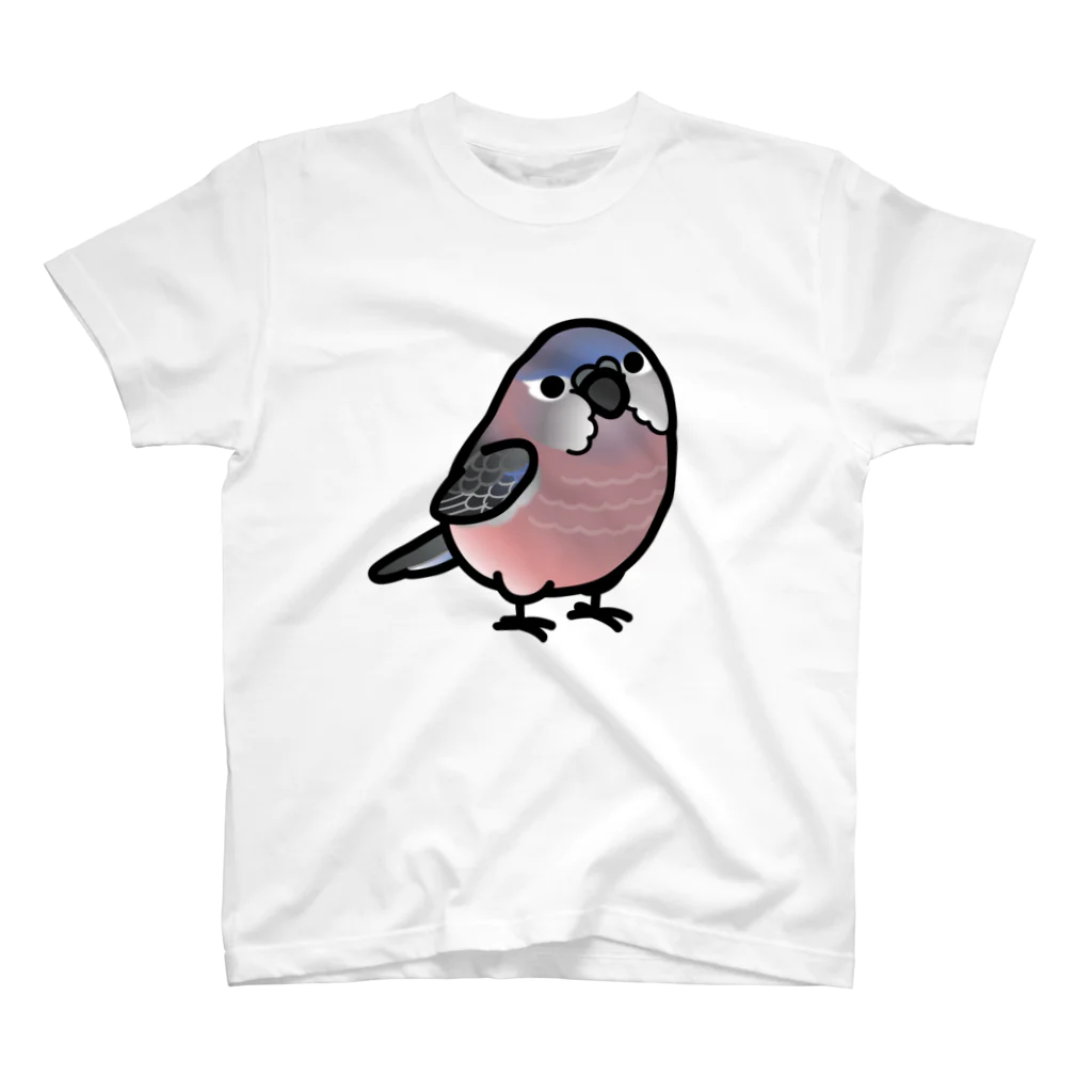 Cody the LovebirdのChubby Bird　アキクサインコ スタンダードTシャツ