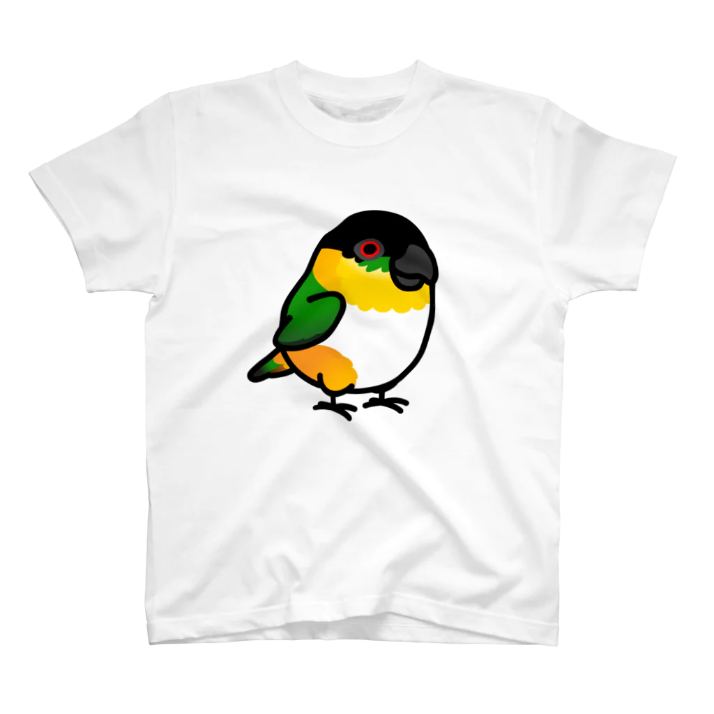 Cody the LovebirdのChubby Bird　ズグロシロハラインコ スタンダードTシャツ