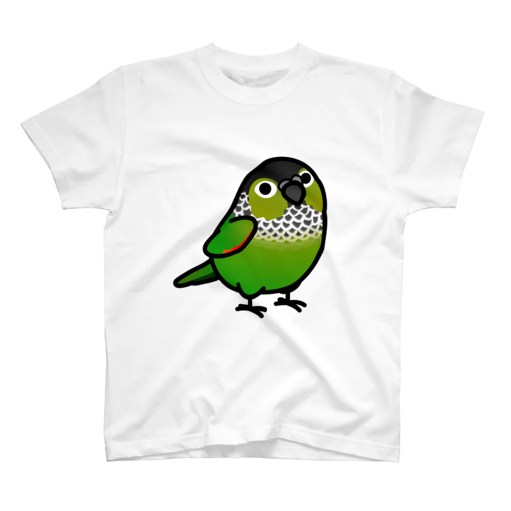 Cody the LovebirdのChubby Bird　ウロコインコ スタンダードTシャツ