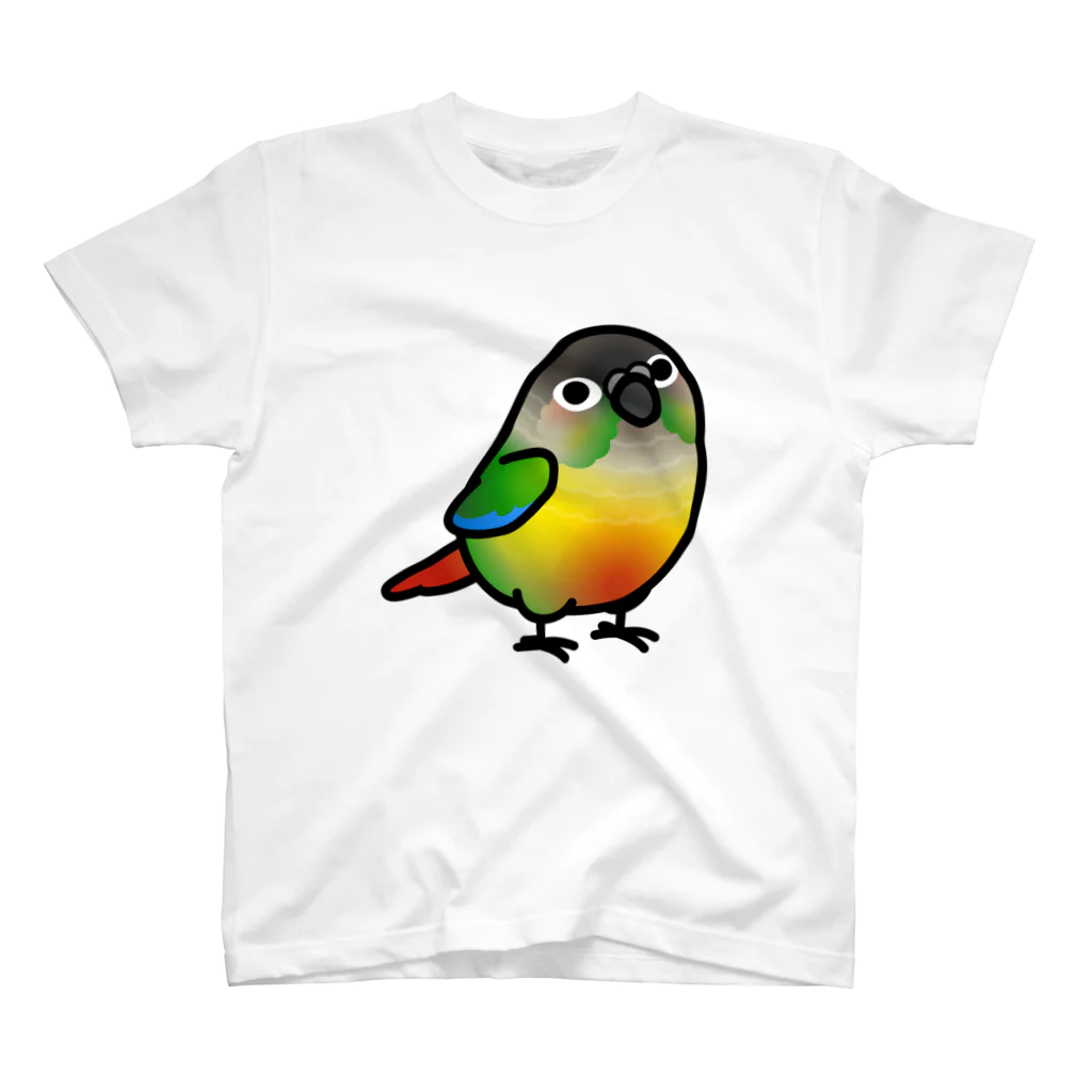 Cody the LovebirdのChubby Bird　ウロコインコ Regular Fit T-Shirt