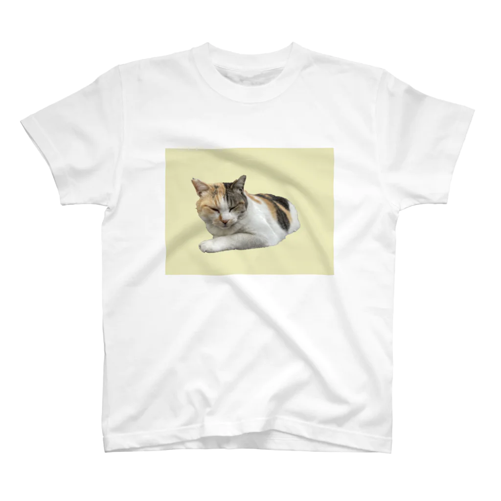 三毛猫のハシモトのはしもとは常にねむい スタンダードTシャツ