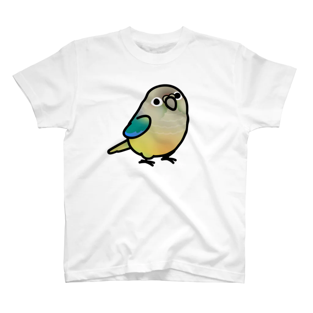 Cody the LovebirdのChubby Bird ウロコインコ Regular Fit T-Shirt