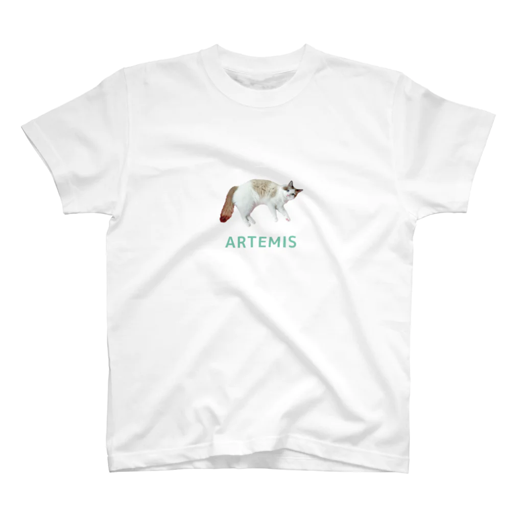 ARTEMISのArtemis スタンダードTシャツ