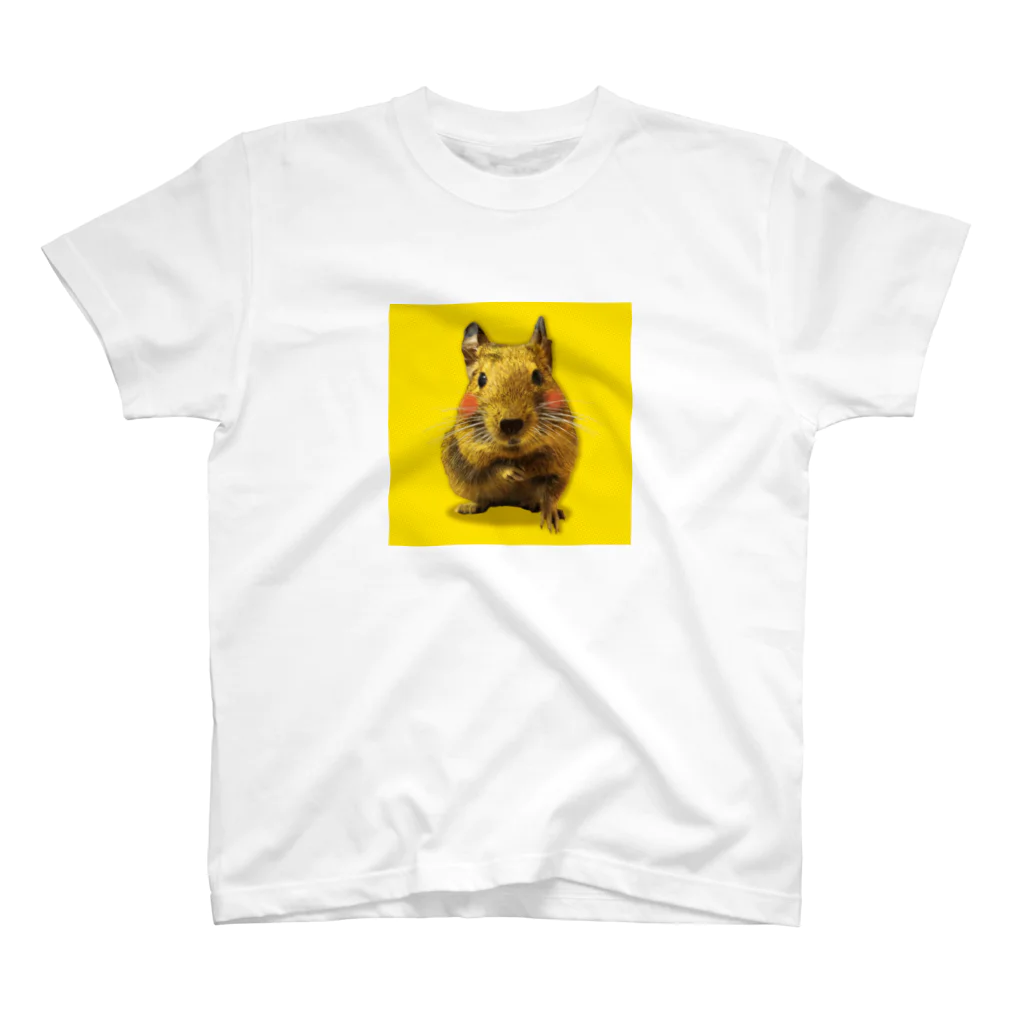 DEGU DEGU PLANET（デグデグ★プラネット）のデグーファンのためのアイテムです スタンダードTシャツ