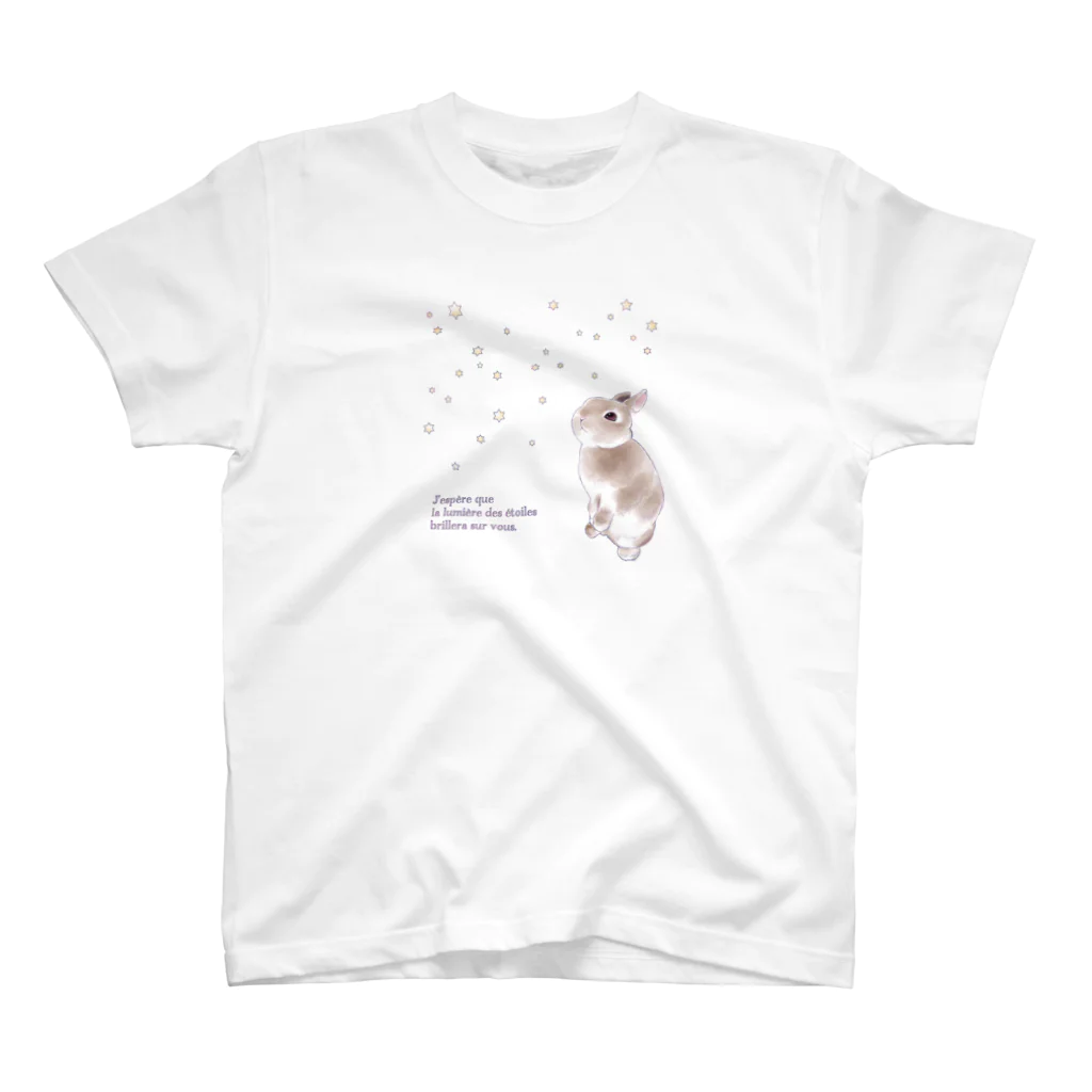 ECLAIR BUNNYの星降る夜（淡色用） Regular Fit T-Shirt