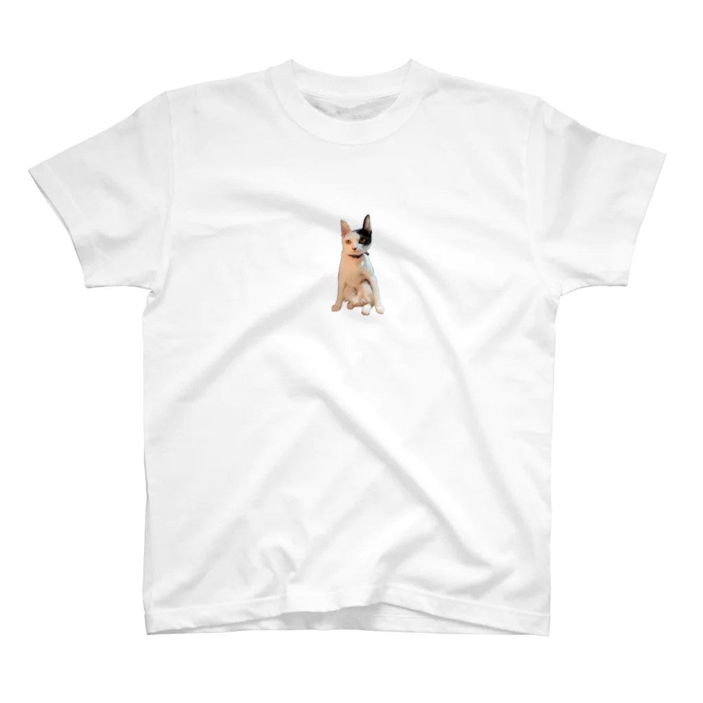 yuuaoiの変な座り方の猫 Regular Fit T-Shirt