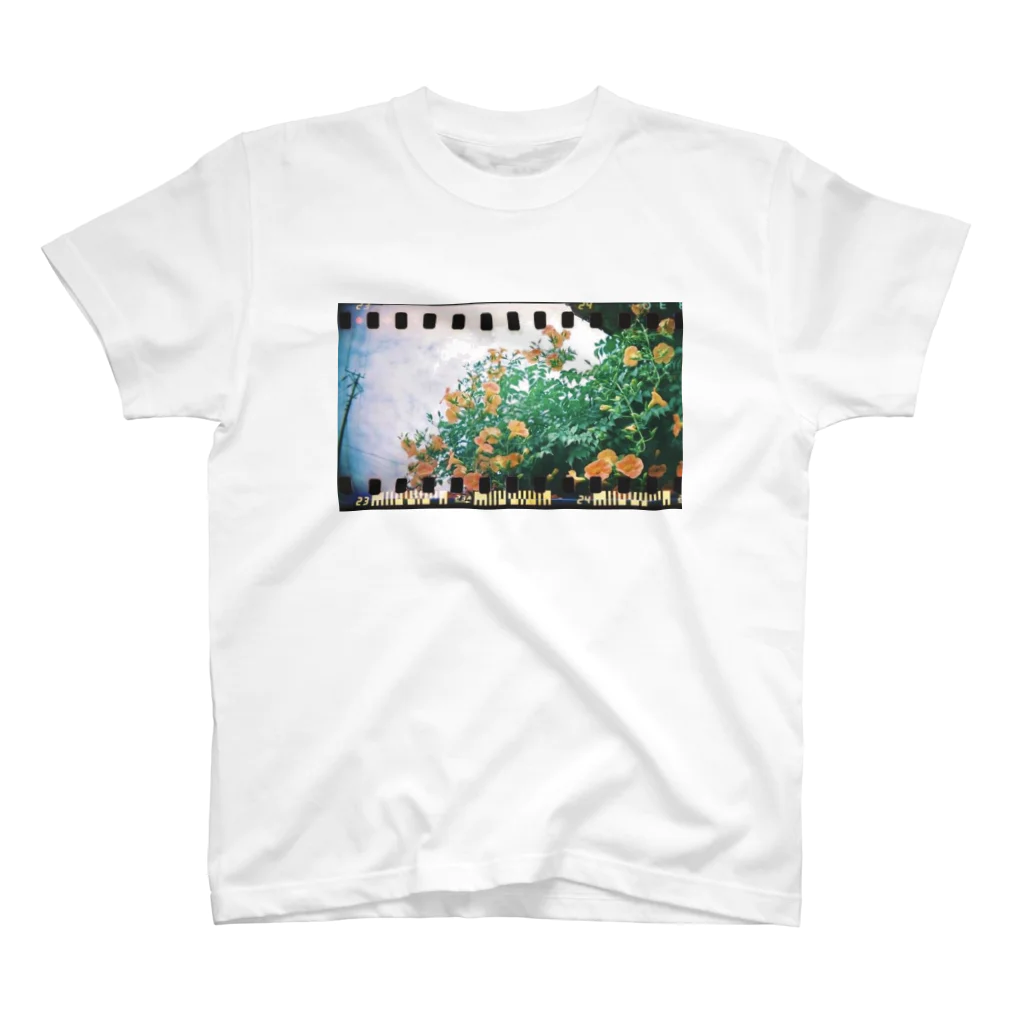 wawacomet*のトイカメラで撮った花と空 スタンダードTシャツ