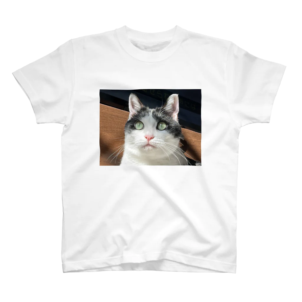 猫太郎の2022年1月28日の猫太郎 スタンダードTシャツ