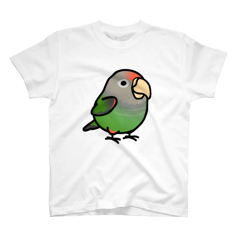 Cody the LovebirdのChubby Bird ハネナガインコ スタンダードTシャツ