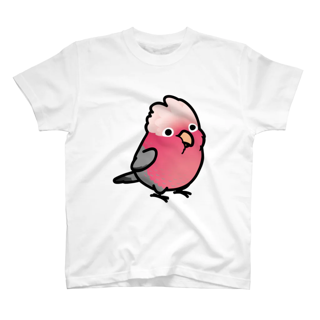 Cody the LovebirdのChubby Bird　モモイロインコ Regular Fit T-Shirt