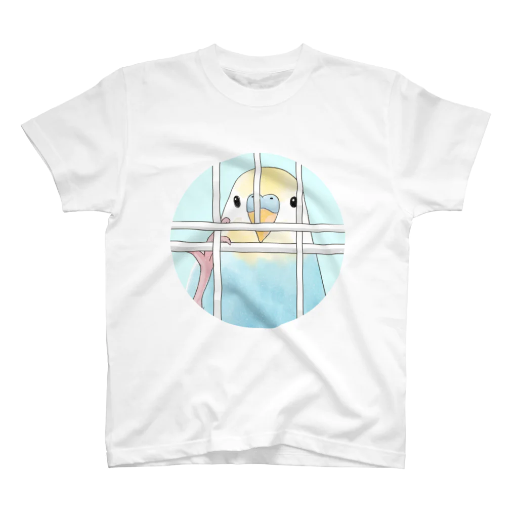 まめるりはことりの可愛いのぞき見セキセイインコちゃん【まめるりはことり】 スタンダードTシャツ